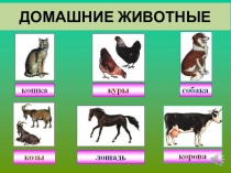 Домашние животные