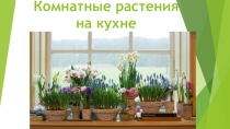 Презентация по технологии Комнатные растения в интерьере кухни