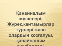 Презентация по биологии на тему Қанайналым мүшелері