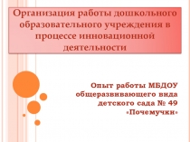 Презентация по теме  Инновационная деятельность ДОУ