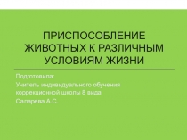 Презентация по окружающему миру на тему Приспособление животных к различным условиям жизни