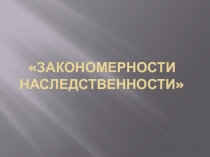 Презентация по биологии на тему Закономерности наследственности (10 класс)
