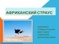 Презентация по биологии “ Африканский страус” 7 класс