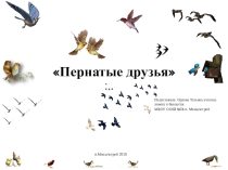Презентация по биологии по теме Пернатые друзья 7 класс