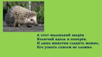Презентация по технологии Ёжик из природного материала