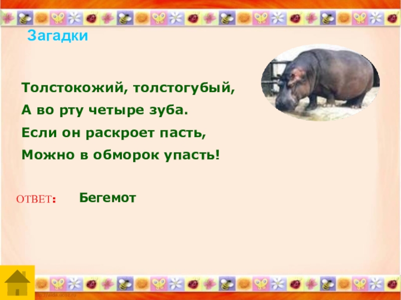 Отгадай загадку первым вылез из землицы. Загадка про бегемота. Загадка про бегемота 1 класс. Загадка про бегемота для детей 1 класса. Загадка про носорога для дошкольников.