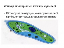 7-сыныптан Жануарлардың қозғалу мүшелері тақырыбына презентация