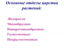 Презентация по биологии Царство Растения