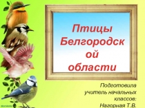 Птицы Белгородской области