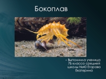 Бокоплавы (7 класс)