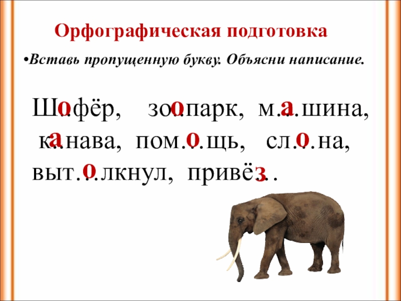 Слово слон сколько букв и звуков. Изложение про слона. Слон по русскому языку 1 класс. Изложение слон 2 класс. Вставь пропущенные буквы объясни написание.