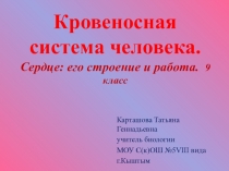 Презентация Кровеносная система человека
