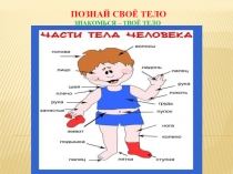 Презентация к конспекту непосредственной образовательной деятельности по физической культуре в старшей и подготовительной группе