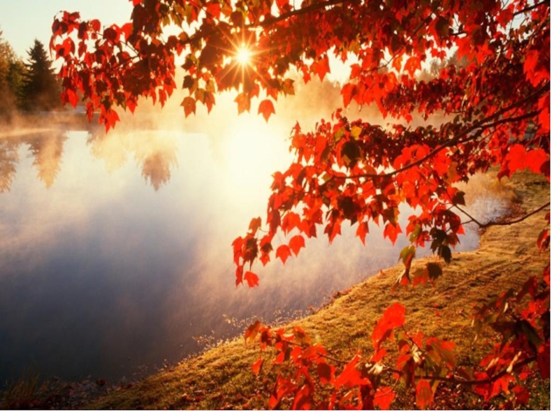 Презентация Времена года 3 класс