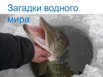 Презентация к занятию Загадки водного мира
