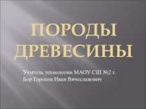 Презентация по технологии Породы древесины