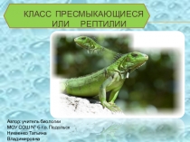 Класс Рептилии