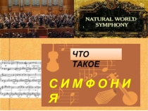 Что такое симфония