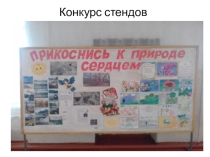 Презентация по экологии на тему: Прикоснись к природе сердцем.