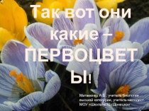 Презентация Вот они какие - первоцветы! - слайд-шоу