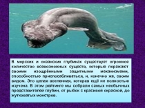 Презентация по окружающему миру