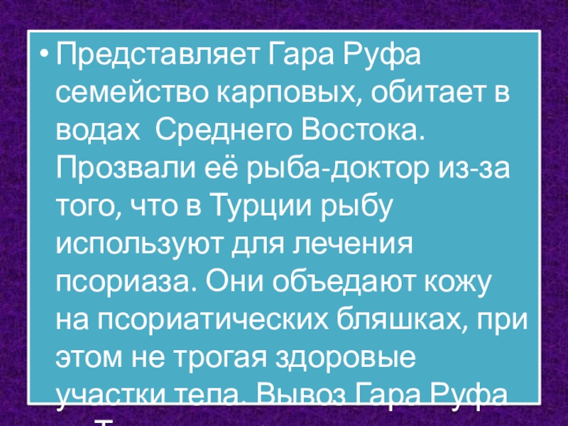 Презентация по окружающему миру Представляет Гара Руфа семейство карповых, обитает в водах Среднего Востока. Прозвали Представляет Гара Руфа семейство карповых, обитает в водах Среднего Востока. Прозвали её рыба-доктор из-за того, что в