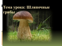 Презентация  Шляпочные грибы 5 класс ФГОС