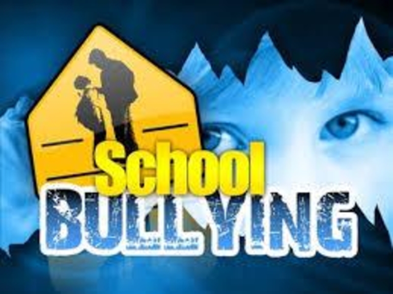 Презентация Презентация по английскому языку  Bullying