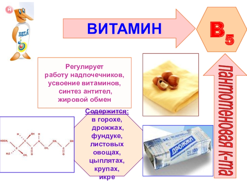 Презентация по химии на тему витамины 10 класс