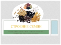 Презентация по биологии на тему Строение семян