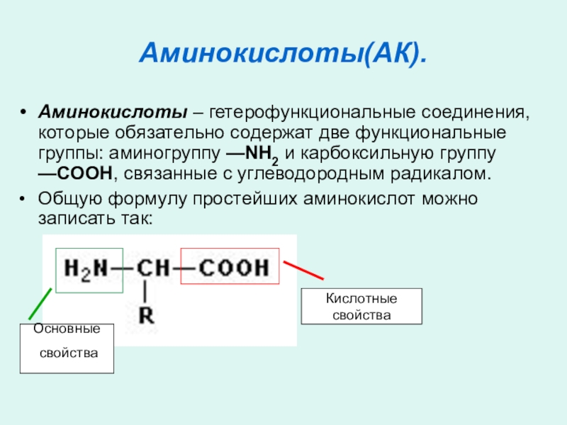 Соединения в состав которых входит функциональная группа. Аминокислоты гетерофункциональные соединения. 2 Функциональные группы аминокислот. Аминокислоты содержат две функциональные группы. В молекулах аминокислот содержатся функциональные группы.