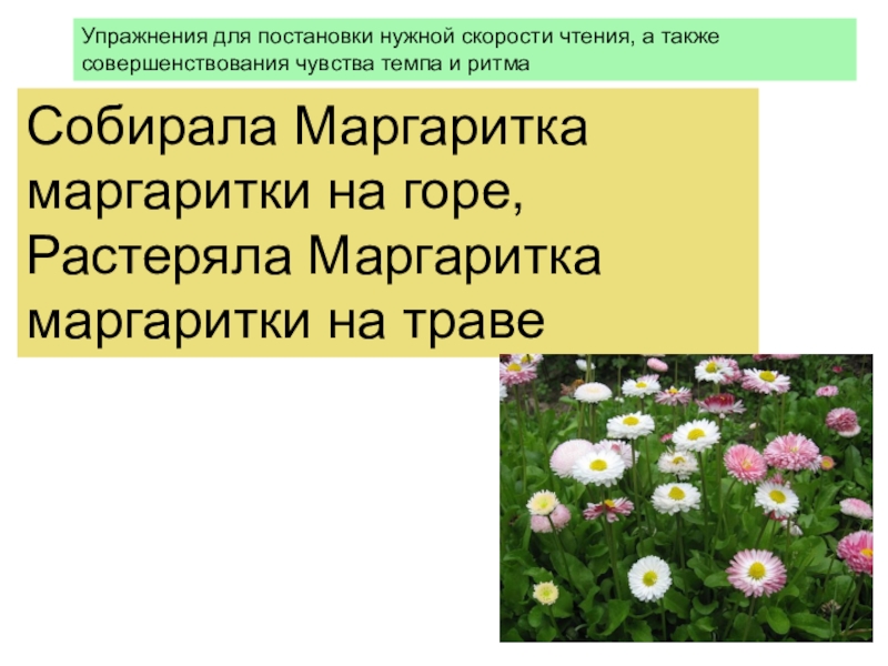 В березовых рощах сосновых борах под раскидистыми лапами елей растет белый гриб схема предложения