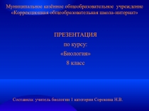 Презентация по биологии Майский жук