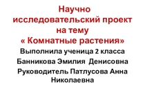 Презентация к уроку окружающий мир 2 класс Комнатные растения
