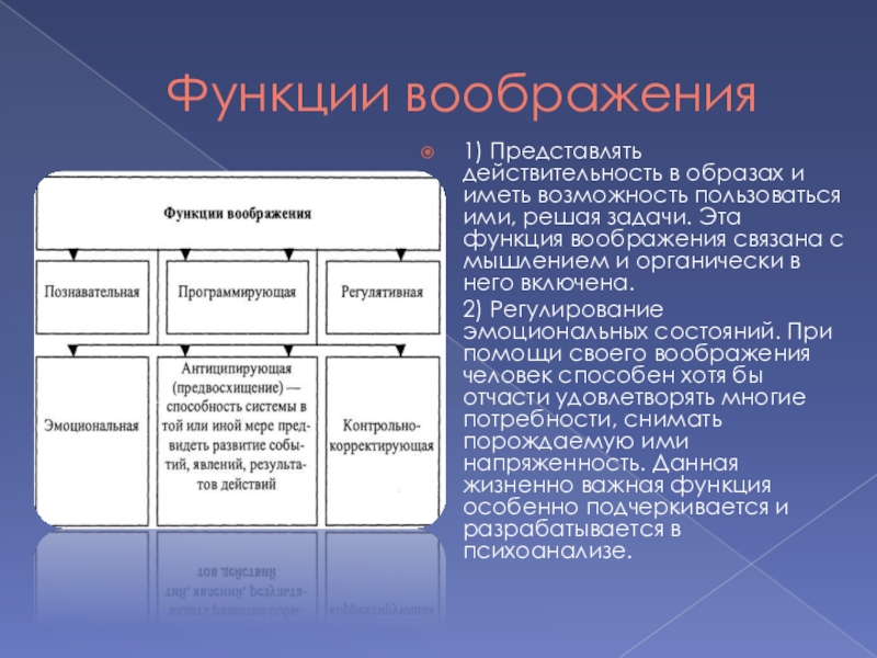 Реферат: Воображе ние функции и виды