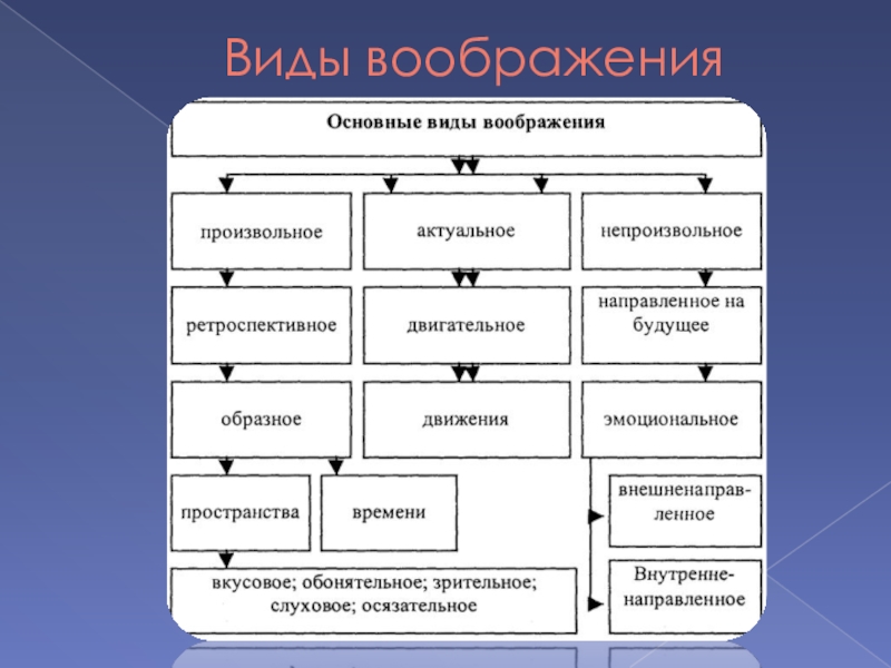 Виды воображения презентация