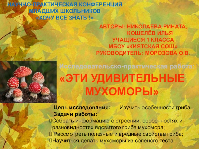 Презентация на тему Цель исследования: Изучить особенности гриба. Задачи работы: Цель исследования: Изучить особенности гриба. Задачи работы: Собрать информацию о строении, особенностях и разновидностях