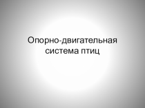 Презентация к уроку: Опорно-двигательная система птиц