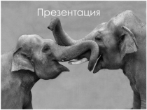 Презентация к уроку Размножение живых организмов.Может быть использована на уроке биологии в 9 классе.