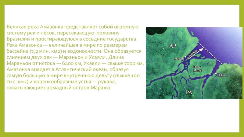 Описание реки амазонка по плану 7 класс. Речная система реки Амазонка.