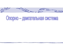 Презентация по биологии Опорно-двигательная система