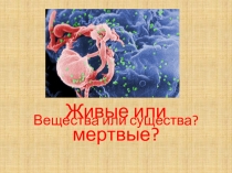 Презентация по теме Вирусы