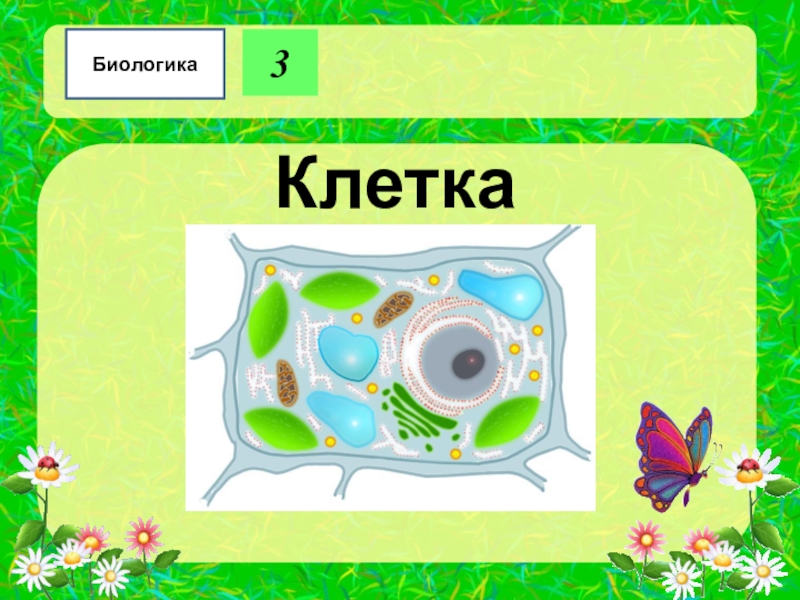 Занимательная биология презентация игра