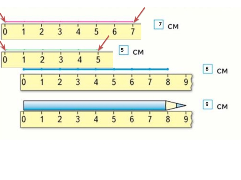Математика сантиметр 1 класс. Сантиметр 1 класс. Тема сантиметр 1 класс. Сантиметр презентация 1 класс. Наглядность на тему сантиметр 1 класс.