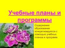 Учебные планы и программы