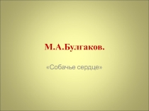 Презентация по литературе Михаил Булгаков Собачье сердце