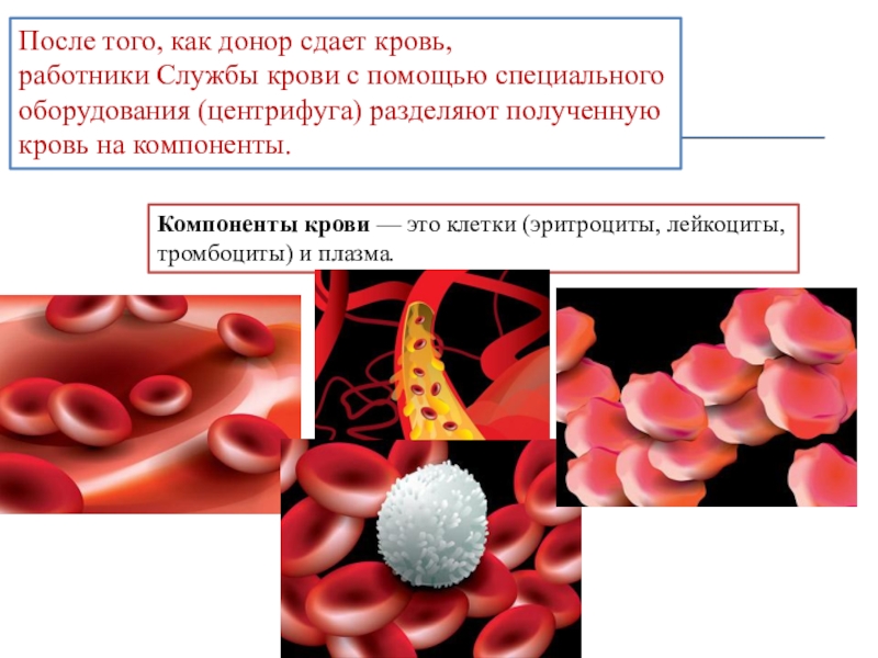 Донорство эритроцитов. Тромбоциты в крови. Сдача крови на тромбоциты.