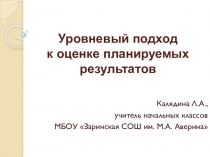 Презентация Уровневый подход новые стандарты