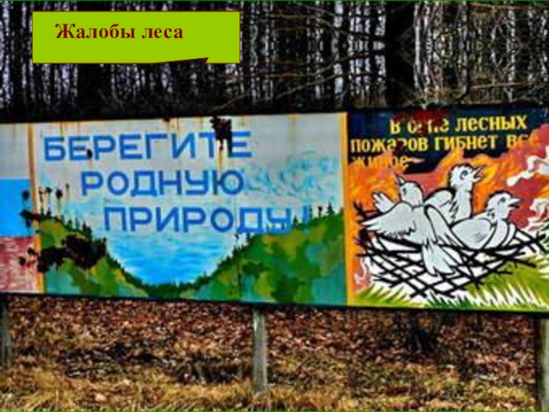 Берегите природу выступление 6 класс цифровой материал. Береги природу выступление. Жалобная книга природы. Берегите природу выступление с цифровыми. Текст на тему берегите природу.