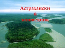 Презентация Астраханский заповедник проект по окружающему миру Заповедники России (3 класс)